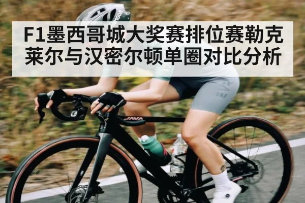 F1墨西哥城大奖赛排位赛勒克莱尔与汉密尔顿单圈对比分析